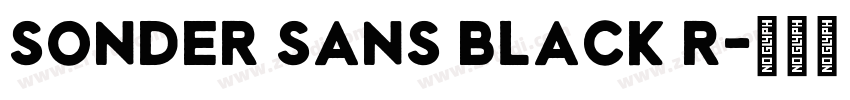 Sonder Sans Black R字体转换